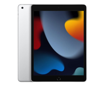 2021 Apple 10.2 inch  25.91 cm  iPad with A13 Bionic chip  Wi Fi  256GB    Silver  9th Generation